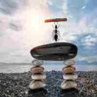 专﻿业‍网﻿站‌收​录‌服‌务﻿